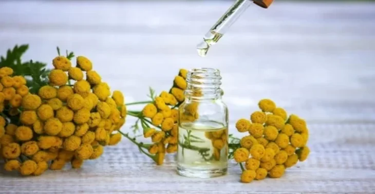 Natural Elixir for the Face: How to Make an Immortelle Macerate for Skin Regeneration and Rejuvenation